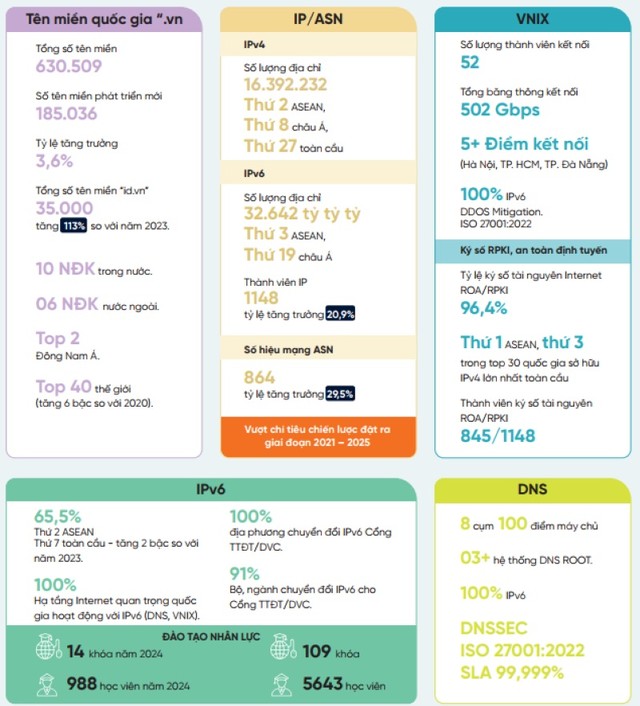 Báo cáo Internet, tài nguyên Internet Việt Nam 2024.