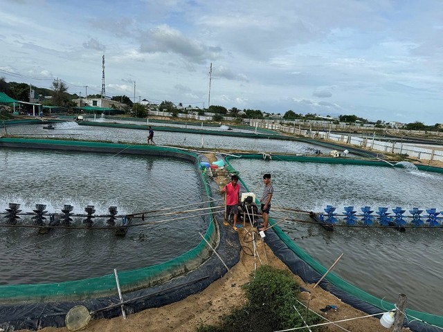 UBND tỉnh Ninh Thuận xác định tầm quan trọng của công tác tuyên truyền để người dân trong vùng dự án hiểu rõ về Dự án Nhà máy điện hạt nhân, từ đó tạo sự đồng thuận trong quá trình triển khai thực hiện. Ảnh: P.T