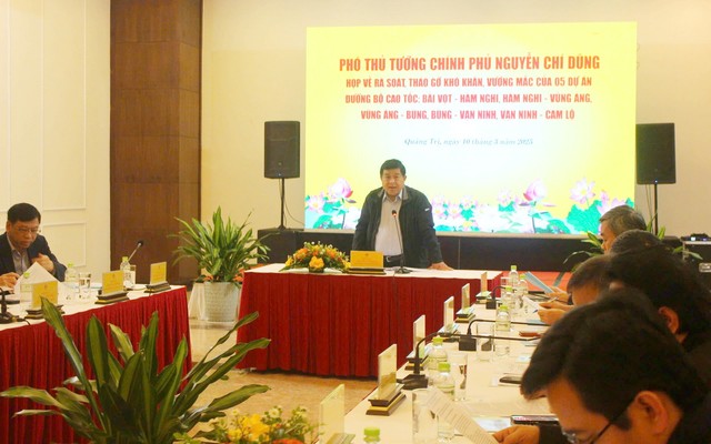 Phó thủ tướng Chính phủ Nguyễn Chí Dũng phát biểu chỉ đạo cuộc họp.