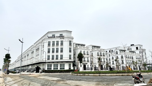 Hiện chủ đầu tư đang đưa ra giá thuê cho những căn liền kề xây thô là 30 - 35 triệu đồng/tháng. Với những căn đã hoàn thiện nội thất cơ bản, được lắp đặt thang máy, điều hòa…, giá thuê khoảng 80 - 120 triệu đồng/tháng. Đây vẫn chưa phải là mức giá cuối, khách hàng có thể tiếp tục đàm phán để hạ giá.