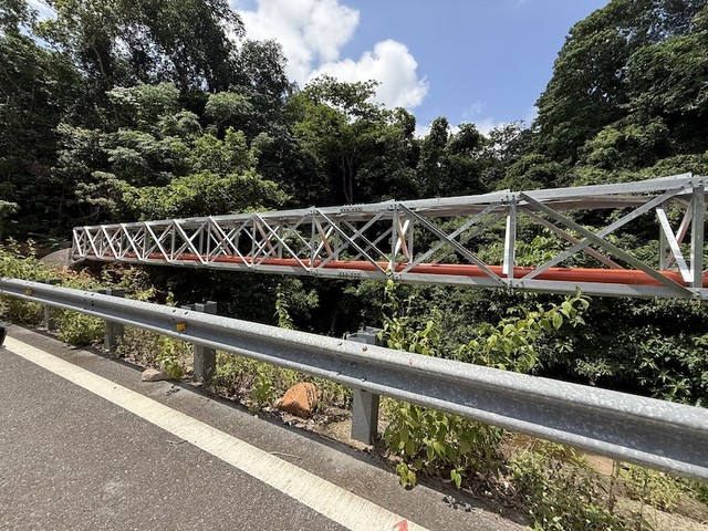 Cầu cho cáp điện để bảo vệ hệ sinh thái đa dạng của Vườn quốc gia Côn Đảo.