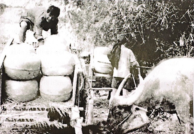 Trong thời kỳ đất nước có chiến tranh, chính sách thuế nông nghiệp khơi dậy tinh thần đóng góp của nông dân cho kháng chiến và thúc đẩy sản xuất. Ảnh: Tư liệu