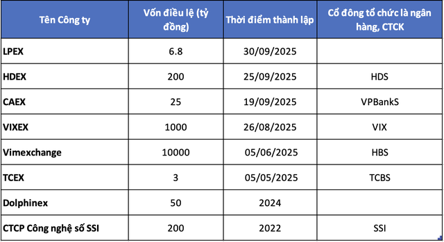 Quy mô các pháp nhân được thành lập liên quan đến tài sản mã hoá tính đến thời điểm hiện tại Quy mô các pháp nhân được thành lập liên quan đến tài sản mã hoá tính đến thời điểm hiện tại