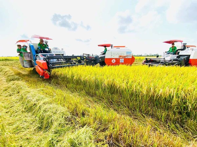 Bản sắc riêng của Trung tâm Tài chính quốc tế tại TP.HCM cần được định hình từ lợi thế vùng, vừa là trung tâm dịch vụ tài chính, công nghiệp và cảng biển, vừa nằm kề cận vựa nông sản chiến lược của ASEAN. Ảnh: Lê Toàn. Bản sắc riêng của Trung tâm Tài chính quốc tế tại TP.HCM cần được định hình từ lợi thế vùng, vừa là trung tâm dịch vụ tài chính, công nghiệp và cảng biển, vừa nằm kề cận vựa nông sản chiến lược của ASEAN. Ảnh: Lê Toàn.