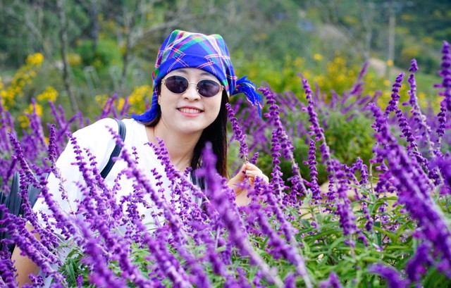 Thảm hoa rực rỡ tại Sun World Fansipan Legend.