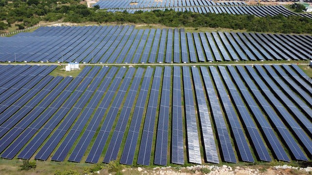 Công suất lắp đặt của điện mặt trời Phước Thái 2 là 100 MWp và Phước Thái 3 là 50 MWp, với tổng mức đầu tư khoảng 4.209 tỷ đồng. Ảnh: Huy Hùng.