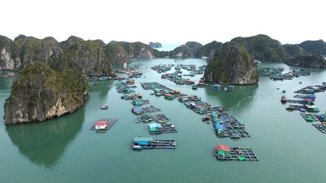 Hải Phòng xây dựng chương trình phát triển các sản phẩm du lịch đẳng cấp gắn với bảo tồn di sản. Hải Phòng xây dựng chương trình phát triển các sản phẩm du lịch đẳng cấp gắn với bảo tồn di sản.