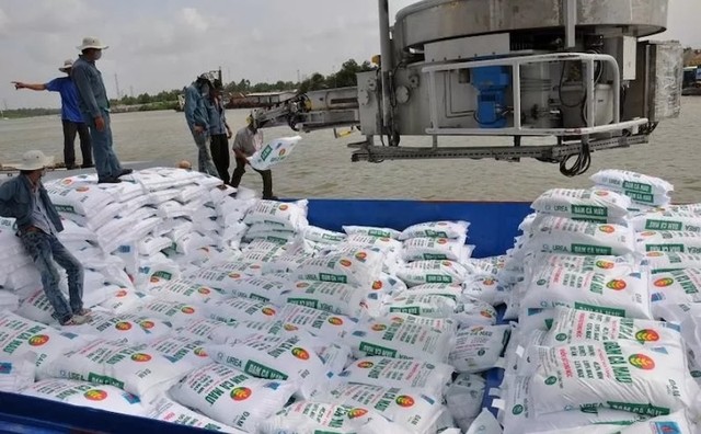 Khu vực Trung Đông có nhiều nhà sản xuất phân bón lớn của thế giới nên sẽ ảnh hưởng tới thị trường phân bón toàn cầu.Ảnh: Đạm Cà Mau xếp lên tàu để đi tiêu thụ.