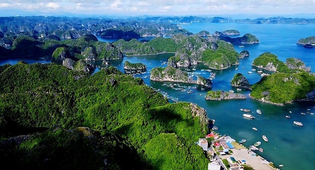 Xây dựng Cát Bà thành “đảo xanh”, đưa đảo Cát Bà trở thành trung tâm du lịch quốc tế.