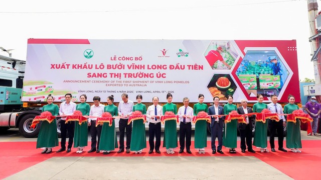 Lễ công bố lô bưởi đầu tiên xuất khẩu sang Australia do Vina T&amp;T Group thực hiện, sáng 13/4.