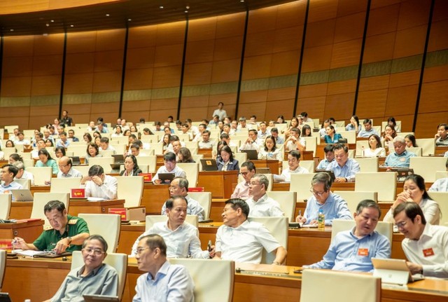 Các đại biểu tham dự Hội nghị. Các đại biểu tham dự Hội nghị.