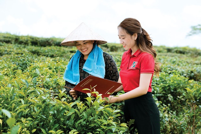 Tiêu chí xanh giúp xác định tính chất môi trường của dự án, nhưng không thay thế việc thẩm định hiệu quả đầu tư Tiêu chí xanh giúp xác định tính chất môi trường của dự án, nhưng không thay thế việc thẩm định hiệu quả đầu tư