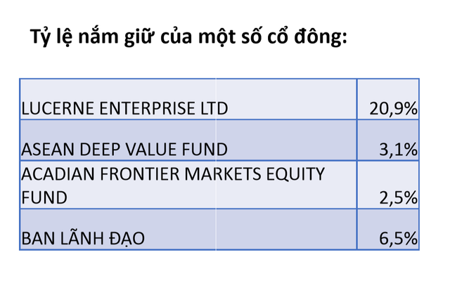 Tháng 8, LCG sẽ đàm phán đối tác từ Indonesia về việc phát hành riêng lẻ 22 triệu cổ phiếu ảnh 1