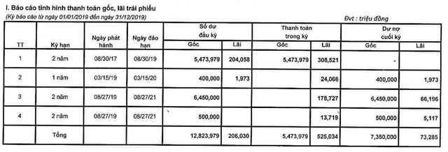 Bông Sen Corp: Năm 2019, huy động thêm 7.350 tỷ đồng trái phiếu ảnh 1