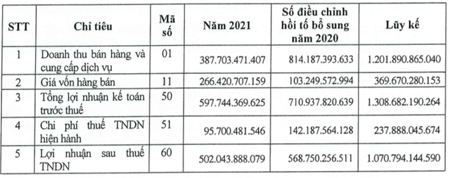 Số liệu Báo cáo tài chính riêng công ty mẹ năm 2021 Số liệu Báo cáo tài chính riêng công ty mẹ năm 2021
