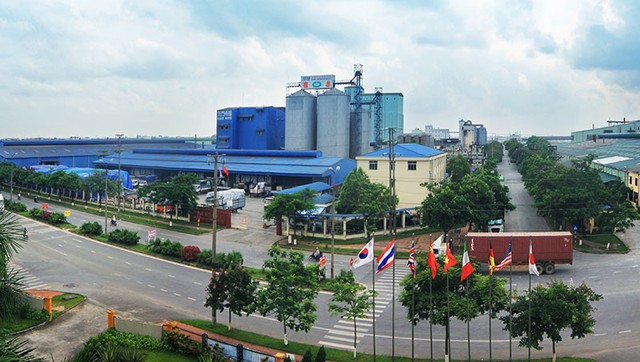 6 tháng, Viglacera tăng trưởng lợi nhuận ấn tượng ảnh 1