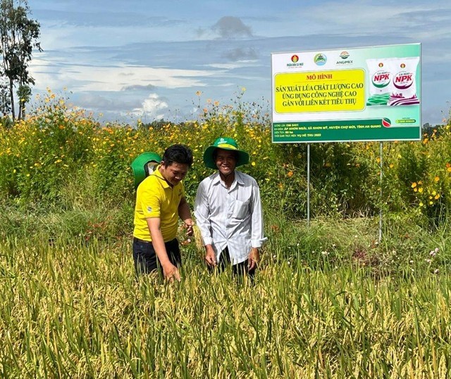 PVCFC đẩy mạnh công tác nghiên cứu phát triển nhằm đa dạng hóa giải pháp dinh dưỡng, phương pháp canh tác tối ưu cho bà con nông dân.