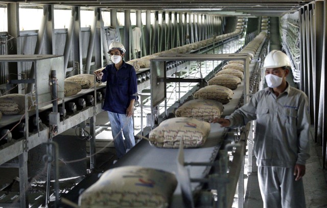 Cổ phiếu xi măng cũng không tránh được đà giảm chung của ngành.