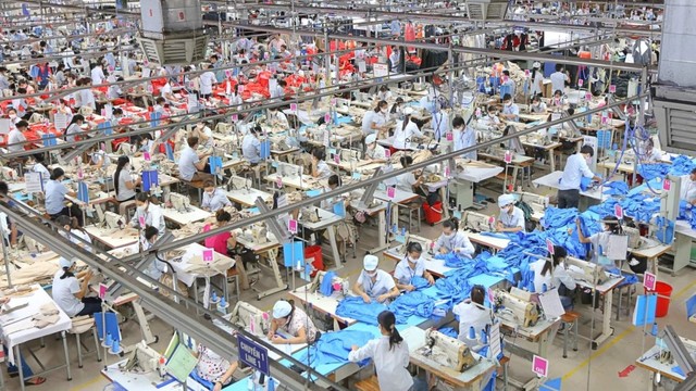 Các doanh nghiệp chủ động nguồn nguyên liệu sẽ có lợi thế