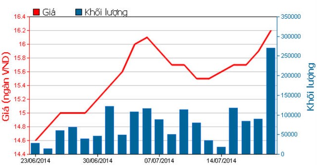 NTL: Doanh thu và lợi nhuận quý II cùng sụt giảm mạnh ảnh 1
