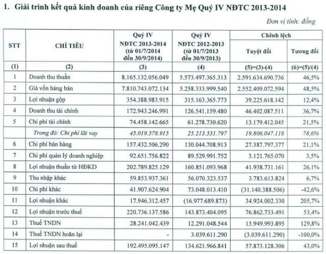 HSG ước hoàn thành chỉ 68% kế hoạch lợi nhuận năm 2014 ảnh 1