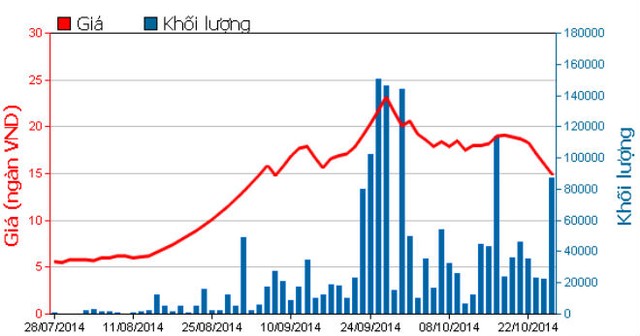 KSH sắp chào bán riêng lẻ 15 triệu cổ phiếu để cơ cấu nợ ảnh 1