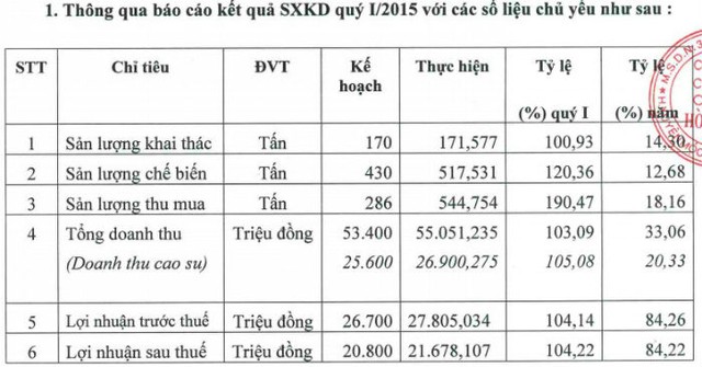 Quý I/2015, HRC hoàn thành 84% kế hoạch lợi nhuận năm ảnh 1