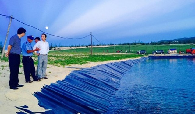 Mục sở thị tiến độ “thần tốc” tại đại dự án FLC Quy Nhơn ảnh 2