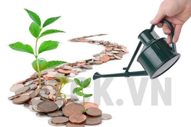 Nội lực vững, chứng khoán sẽ sớm cân bằng ảnh 2