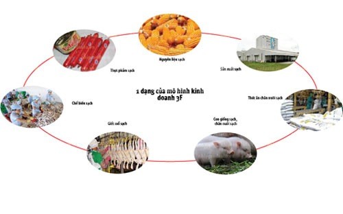 Cuộc bành trướng của C.P ảnh 1