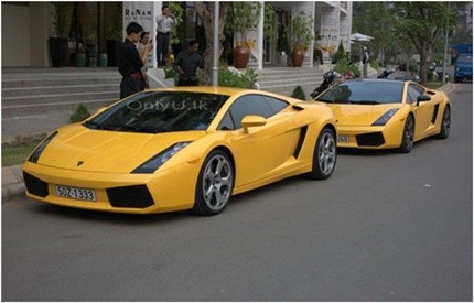 6 thú “đốt tiền” kinh điển của các đại gia Việt ảnh 5