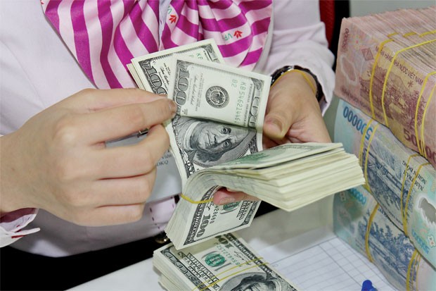 Nới tín dụng ngoại tệ, không làm tăng sức cầu? ảnh 1 Nới tín dụng ngoại tệ, không làm tăng sức cầu? ảnh 1