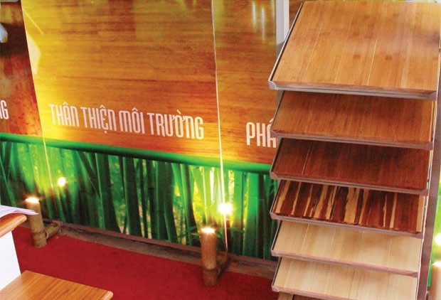 Châu Á chưa đủ xanh ảnh 1