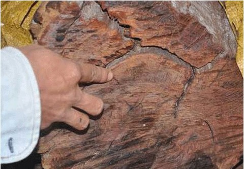 60 tỷ chỉ để đóng... quan tài ảnh 2