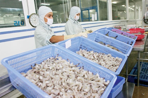 Cổ phiếu thủy sản chỉ chờ có “sóng” ảnh 1