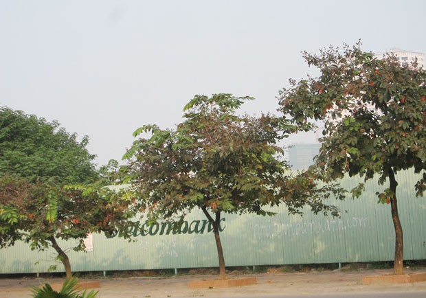 Hà Nội nhẹ tay với các dự án bất động sản sai phạm ảnh 2