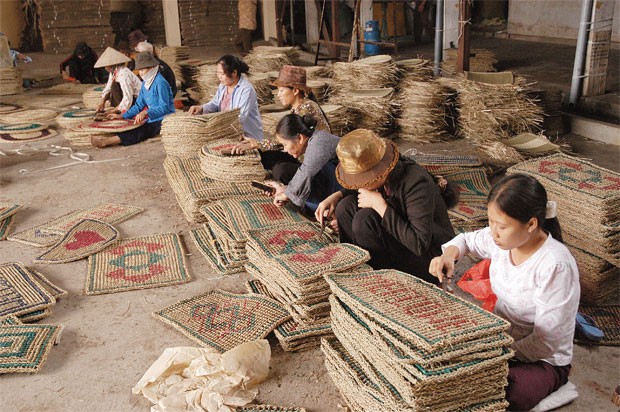 Hưu trí bổ sung được ưu tiên hơn tự nguyện ảnh 1