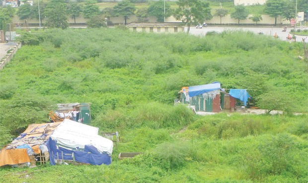 Luật Đất đai sửa đổi sẽ tạo “hứng khởi” cho thị trường ảnh 1