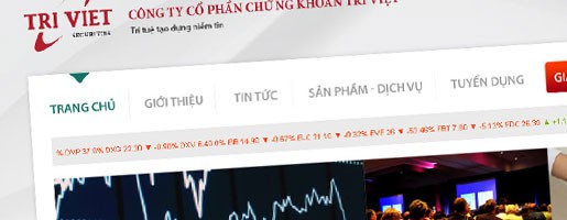 Trí Việt và Artex bị xử phạt hành chính ảnh 1