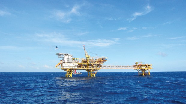 Ồ ạt thay “máu” cổ đông lớn ảnh 1