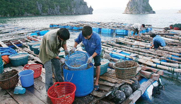 Thêm kỳ vọng phục hồi kinh tế ảnh 1