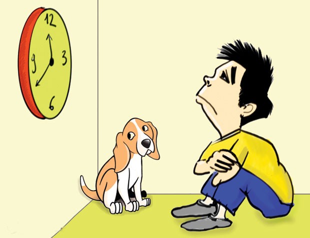 Offline chứng khoán ảnh 1 Offline chứng khoán ảnh 1