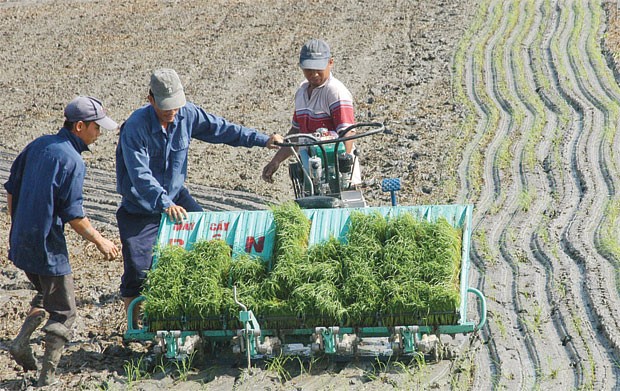 Bảo hiểm nông nghiệp, cần tính đến việc lập quỹ ảnh 1