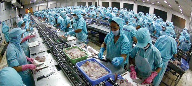 Bianfishco “lội ngược dòng” ảnh 1 Bianfishco “lội ngược dòng” ảnh 1