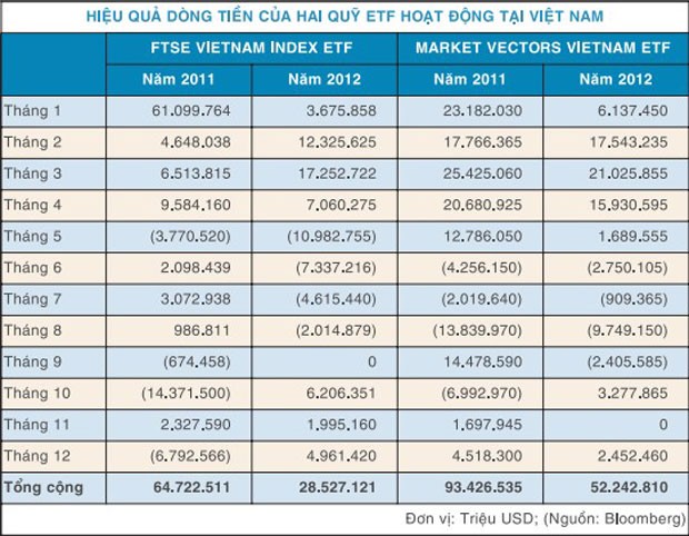 Quỹ ETF vẫn “sống khoẻ” tại Việt Nam ảnh 1