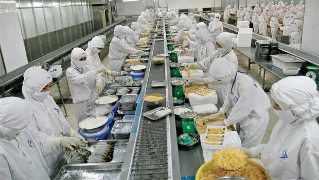 HVG: Mục tiêu quá xa tầm tay ảnh 1