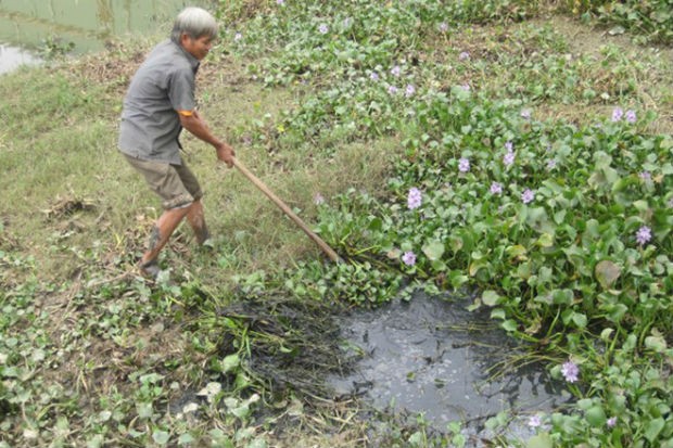 Đến lượt gạch Prime bị tố "bẩn" ảnh 2