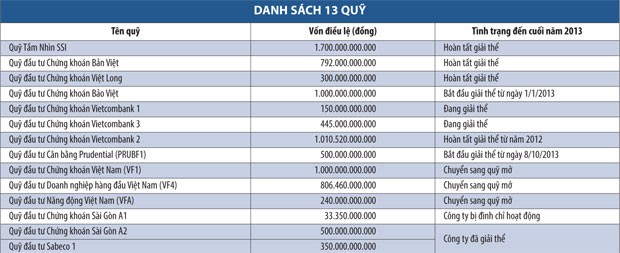 13 quỹ đóng đã… đóng trong năm 2013 ảnh 1