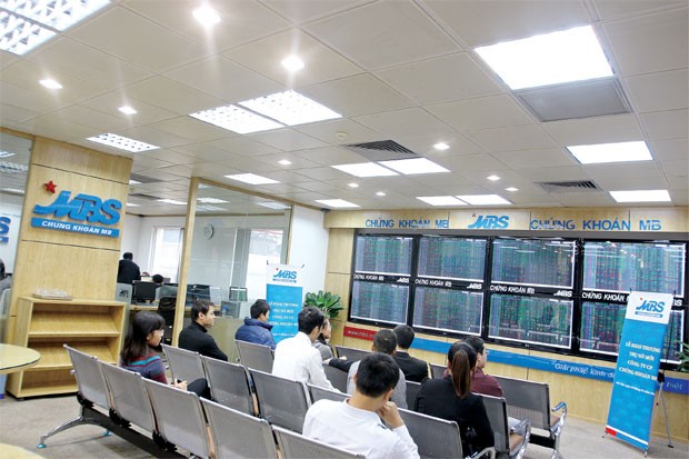 Kỳ vọng mới năm con Rắn ảnh 1