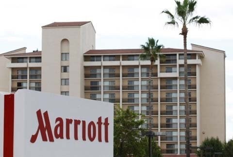 Những bóng hồng quyền lực trong các tập đoàn lớn ảnh 7